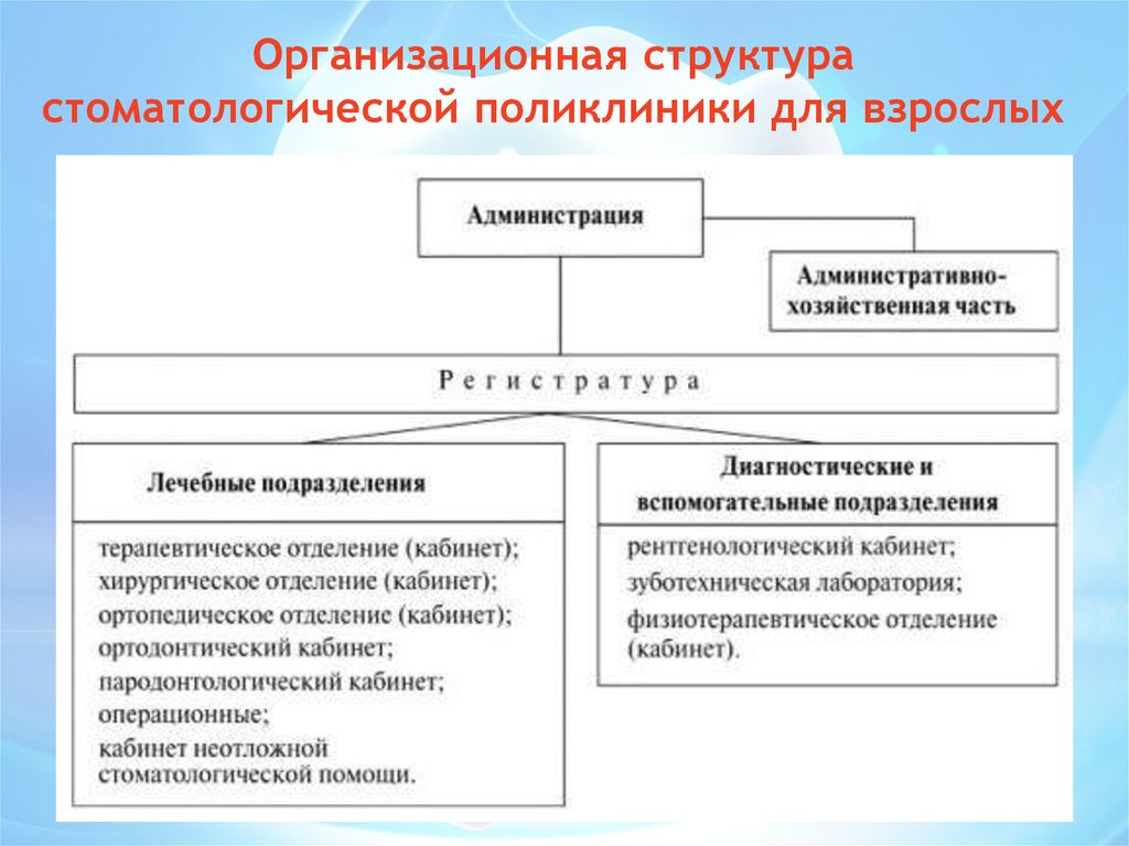 Подразделения поликлиники. Структурные подразделения стоматологической поликлиники. Стоматологическая поликлиника структура и функции. Организационная структура стоматологической поликлиники. Структура городской стоматологической поликлиники.