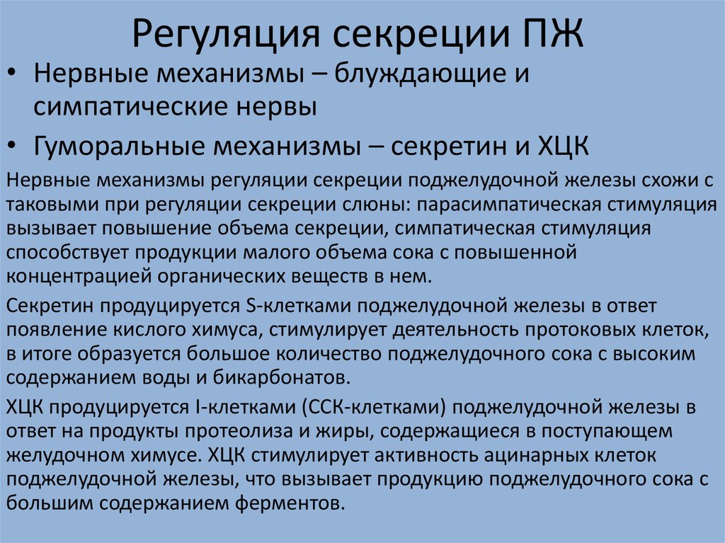 Нервная регуляция работы. Регуляция секреции поджелудочной железы. Регуляция секреции поджелудочного сока. Нервная и гуморальная регуляция панкреатической секреции. Регуляция панкреатической секреции физиология.