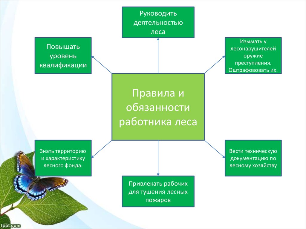 Осуществление религиозной деятельности в лесах. Оздоровительные свойства леса. Религиозная деятельность в лесу. Хозяйств деятельность лесов в е р.