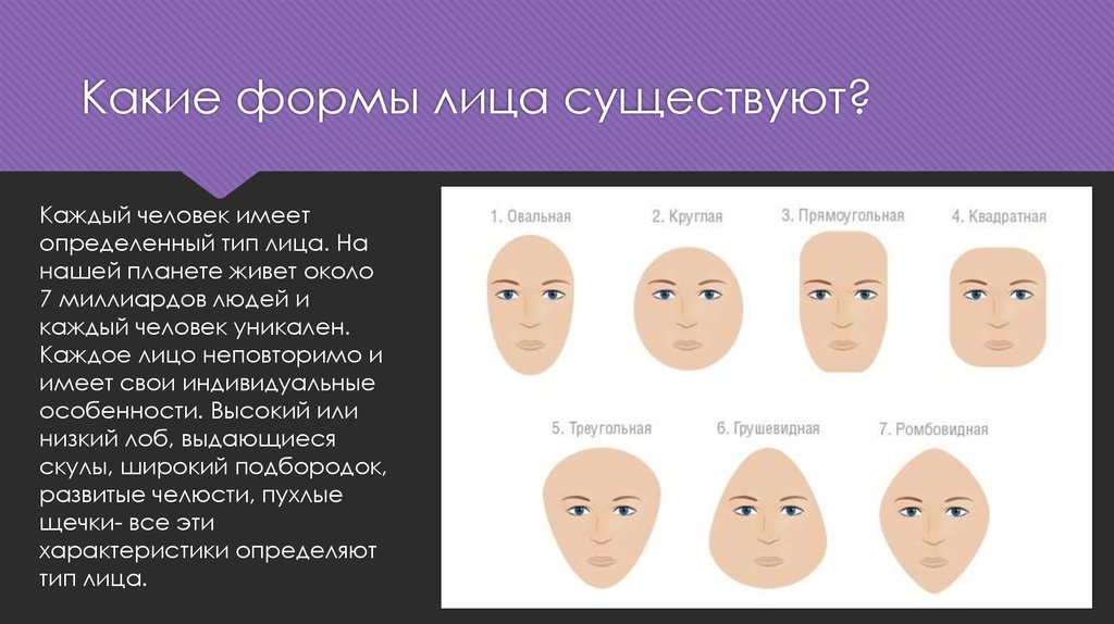 Образец лица. Формы лица. Какие есть формы лица. Характеристика типов лица. Основные типы формы лица.