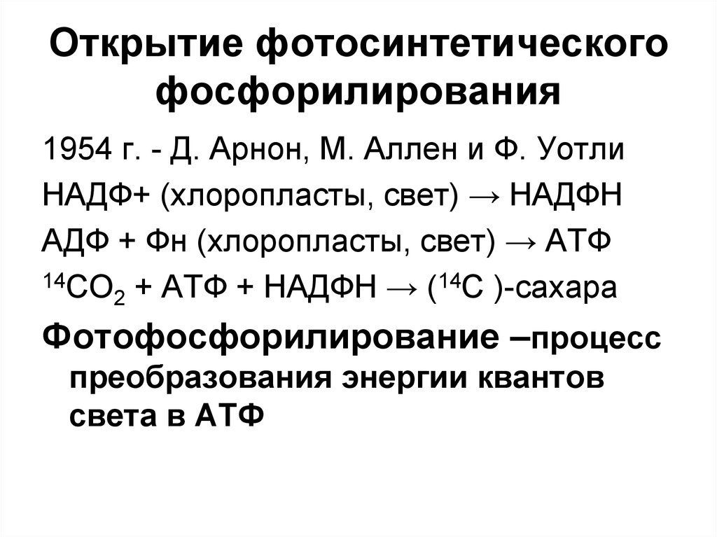 Нециклическое фотофосфорилирование z схема - 83 фото