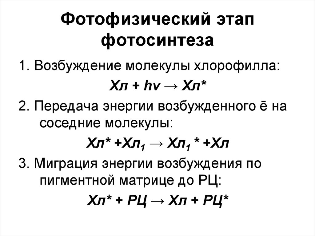 Последовательность фотосинтеза возбуждение хлорофилла. Этапы фотосинтеза фотофизический фотохимический. Световая фаза фотофизический этап. Фотохэфищический этап фотосинтеза. Фотофизический этап фотосинтеза кратко.