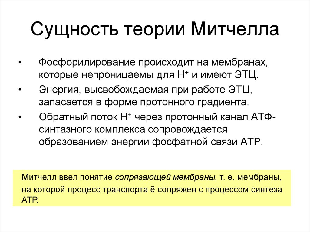 Теоретическая сущность. Митчелл хемиосмотическая теория. Хемиосмотическая гипотеза Митчелла. Хемиосмотическая теория п. Митчела... Хемиосмотическая теория Митчелла кратко.