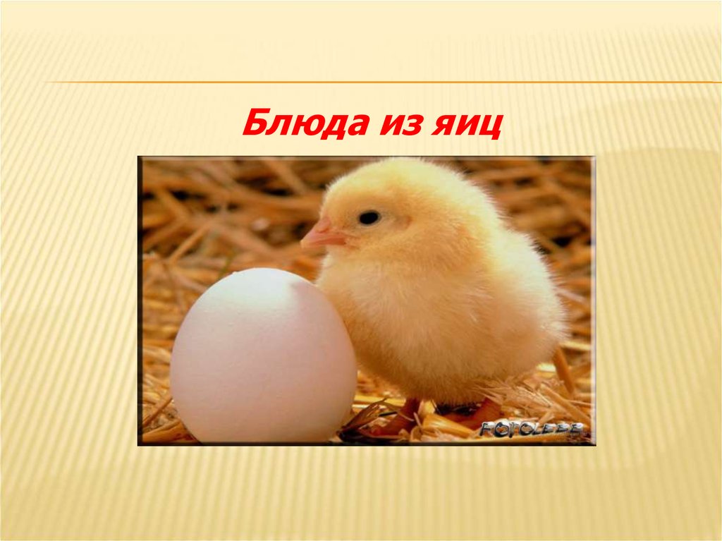 У меня было 6 яиц 2