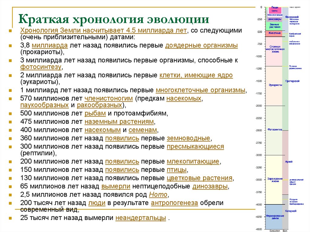 Последовательность появления