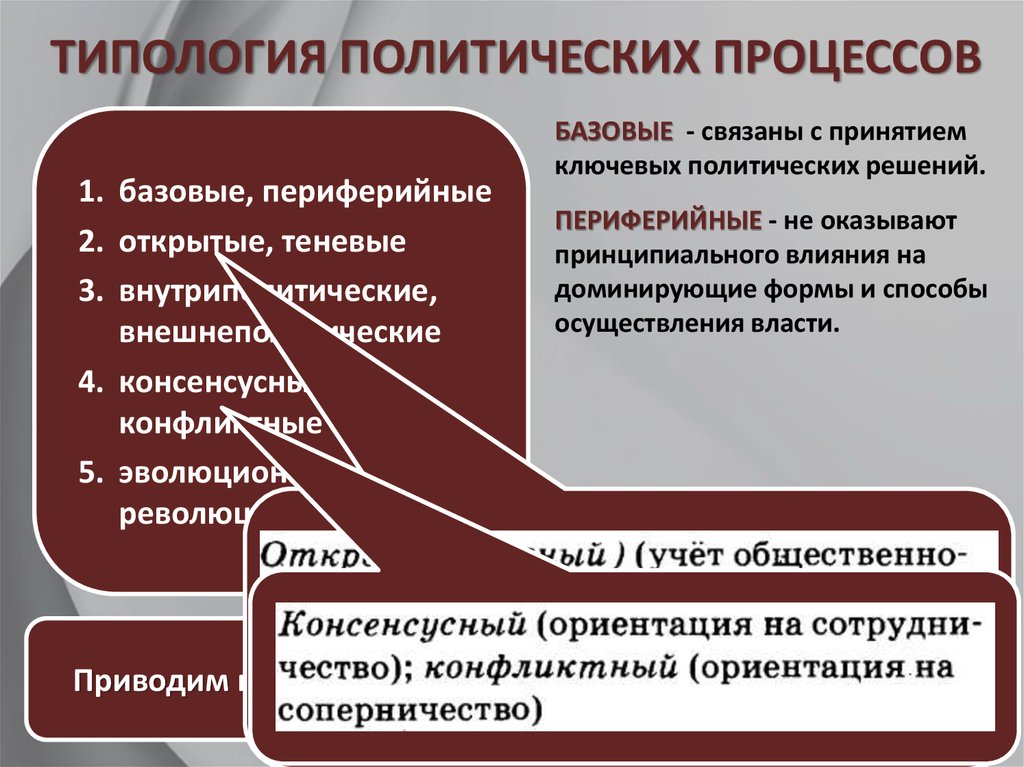 Какие особенности политического