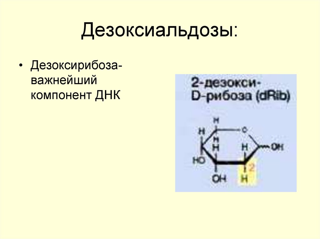 Моносахариды в составе днк