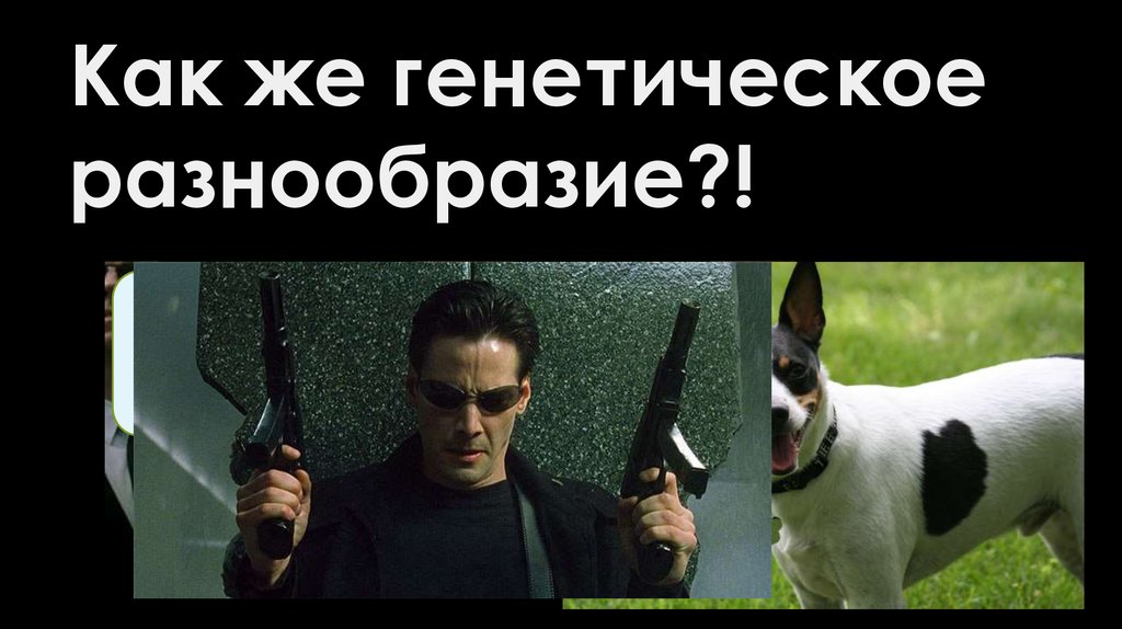 Как же генетическое разнообразие?!