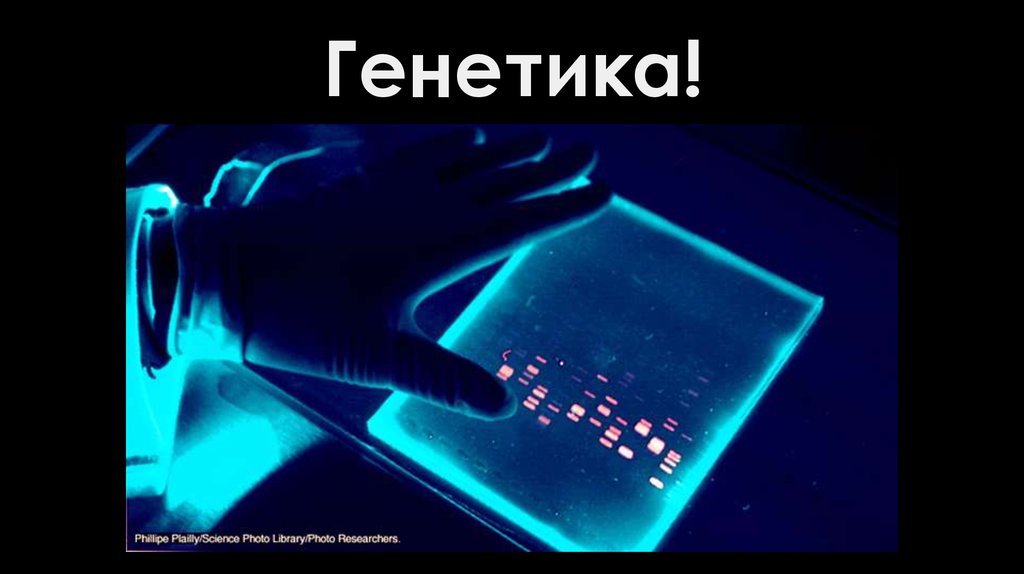 Генетика!