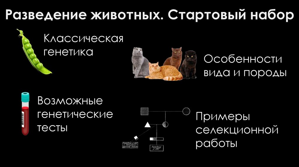 Разведение животных. Стартовый набор