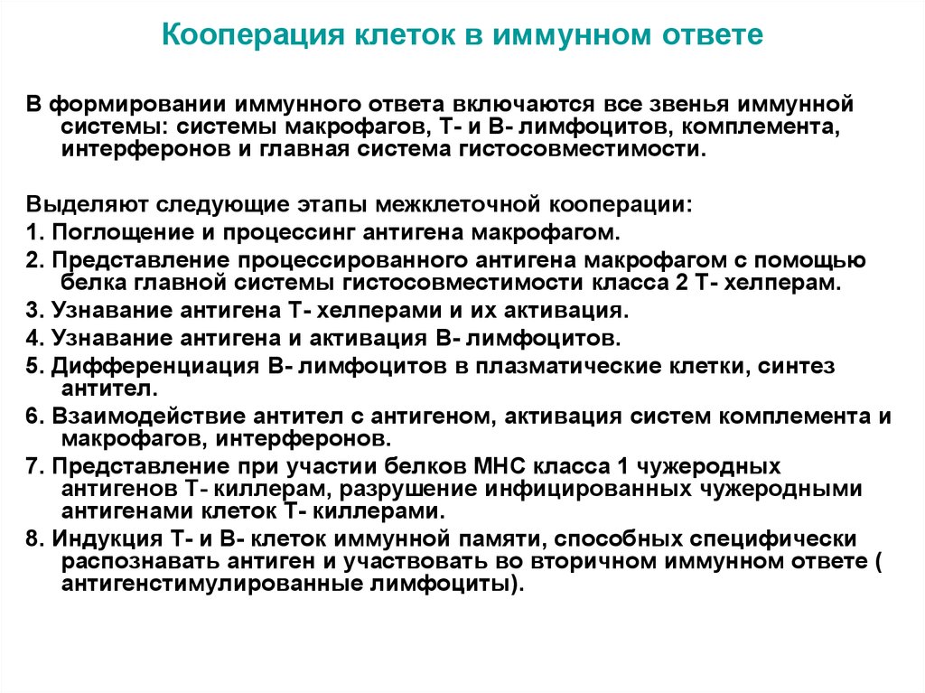 17 взаимодействие клеток в иммунном ответе трехклеточная схема кооперации