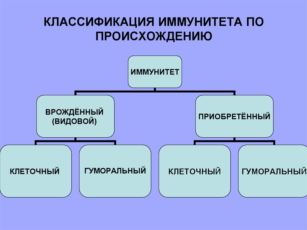 Классификационная схема иммунитета