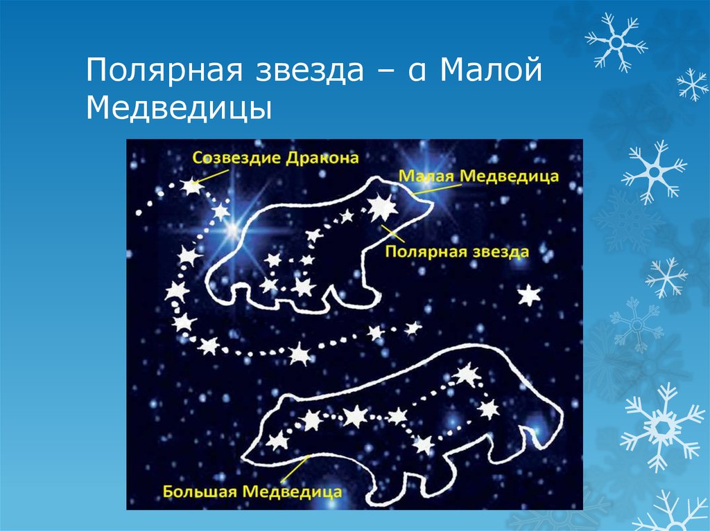 Полярная звезда – α Малой Медведицы