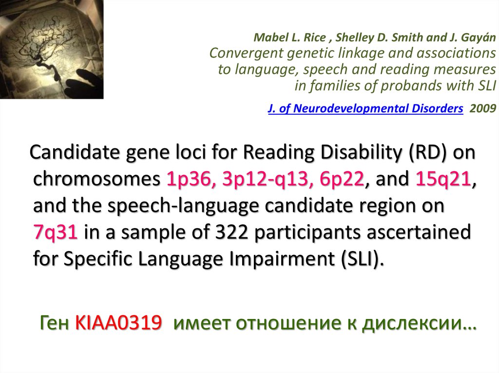 Mabel L. Rice , Shelley D. Smith and J. Gayán Convergent genetic linkage and associations to language, speech and reading