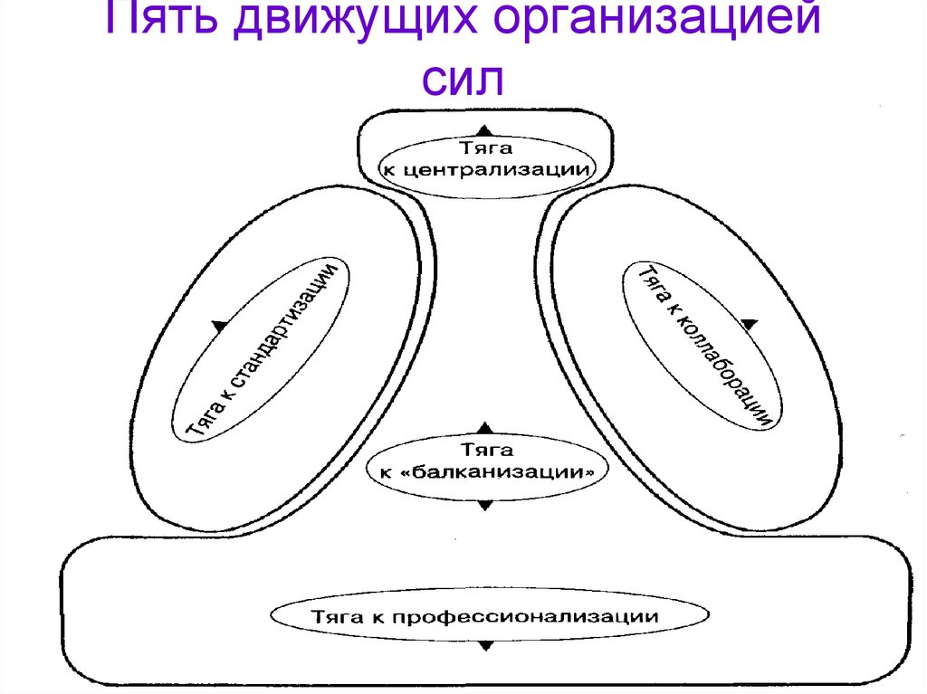 Культура силы в организации