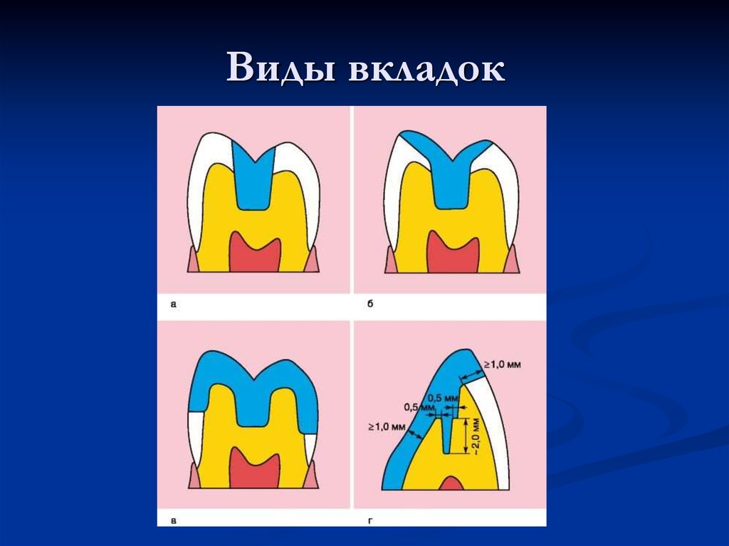 На рисунке показана часть вкладки как называется вкладка