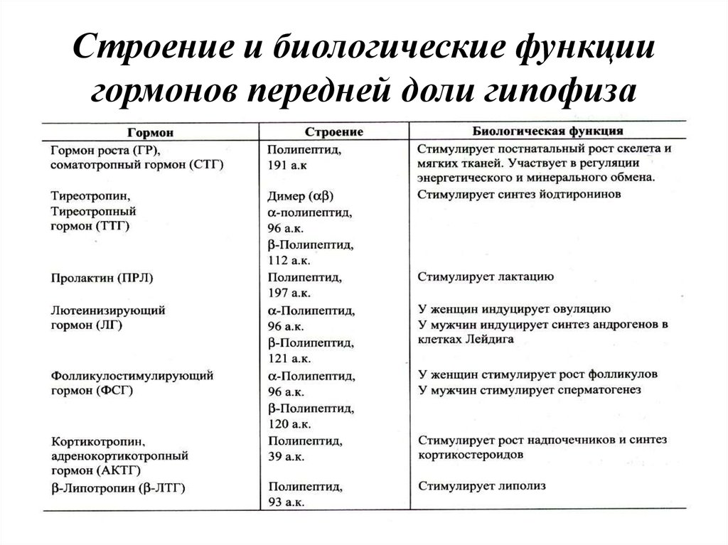 Какие гормоны вырабатывает передняя доля гипофиза заполните схему