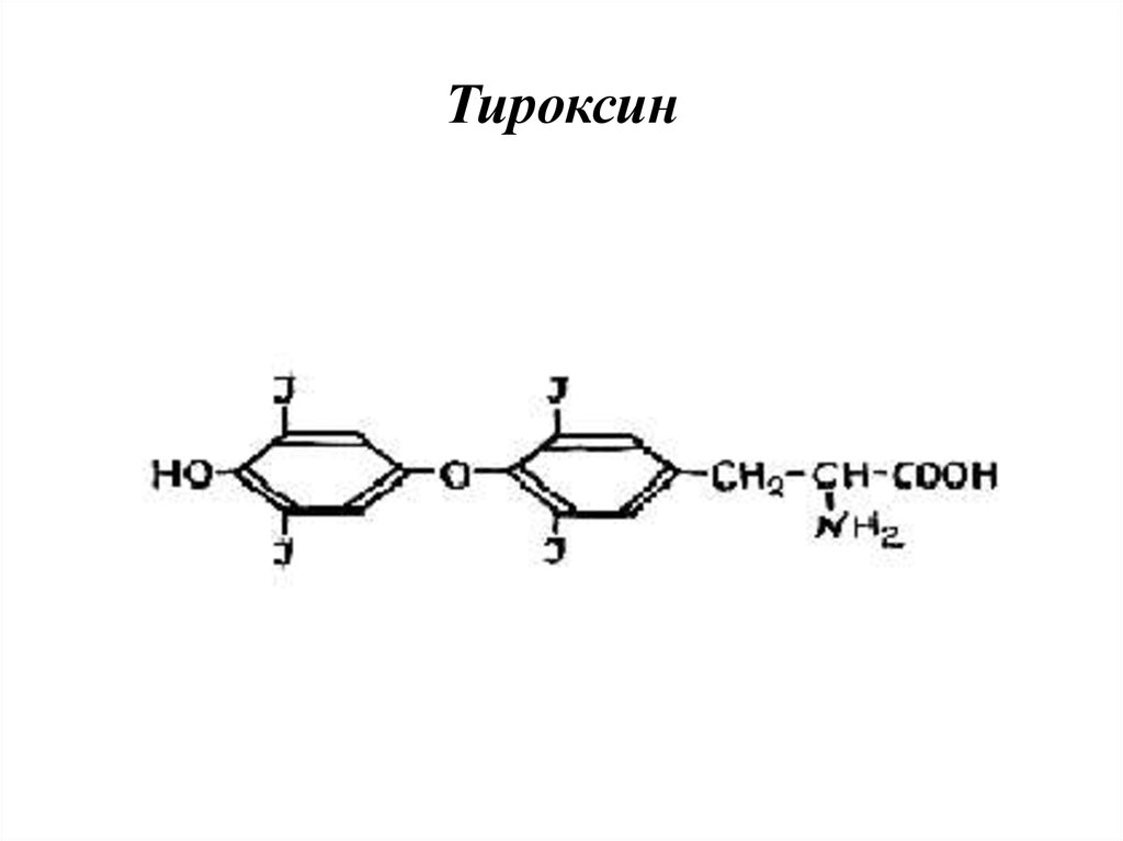 Тироксин ферменты