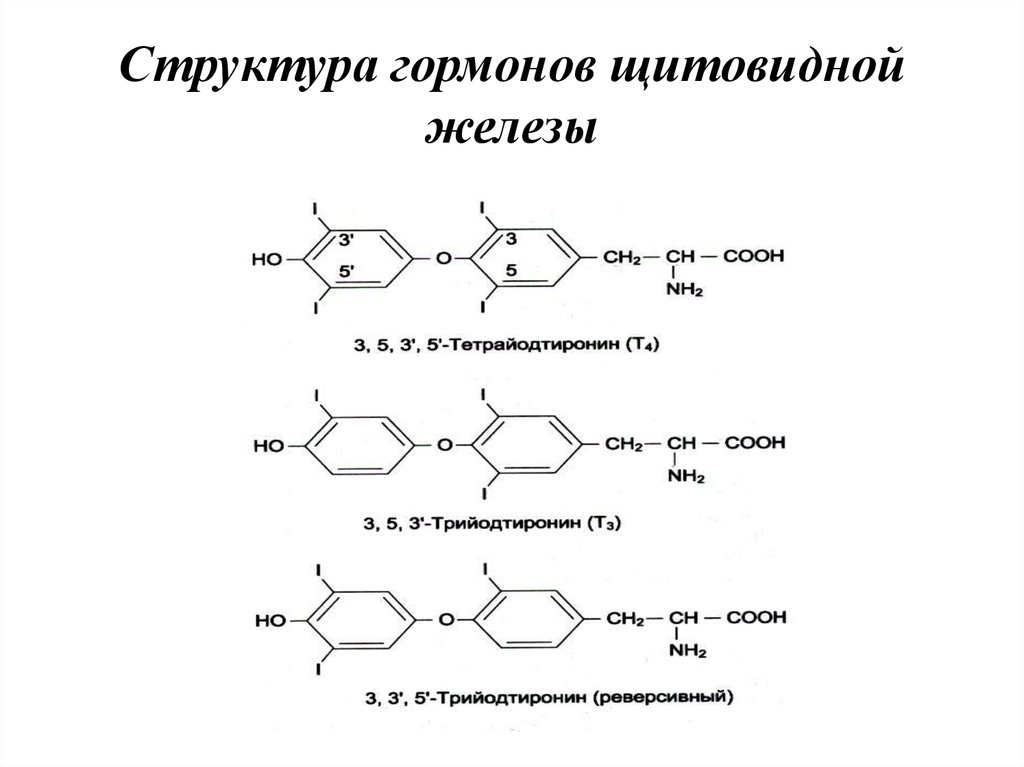 Формула щитовидной железы. Строение гормонов щитовидной железы биохимия. Химическая структура гормонов щитовидной железы. Строение тиреоидных гормонов биохимия. Тиреоидные гормоны структура.