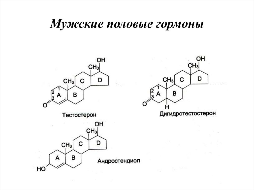 Мужской гормон. Половые гормоны строение биохимия. Мужские половые гормоны формула. Мужские половые гормоны андрогены. Половые гормоны химическое строение.