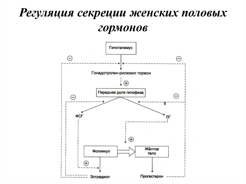 Регуляция секреции