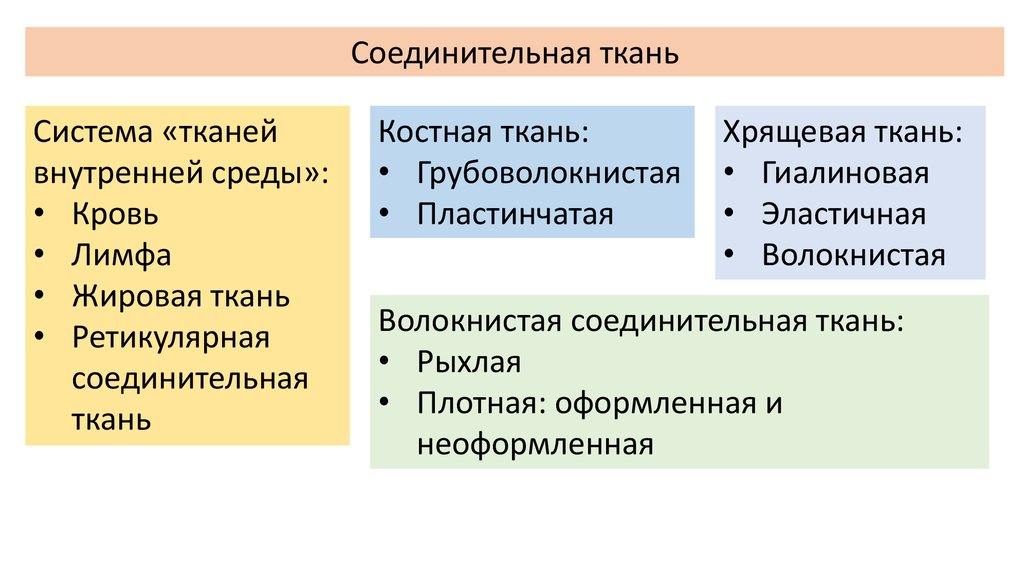 Строение и функции соединительной ткани человека. Ткани и органы. Ткани человека виды строение и функции. Строение проводящей ткани растений. Основные функции ткани растений 6 класс.