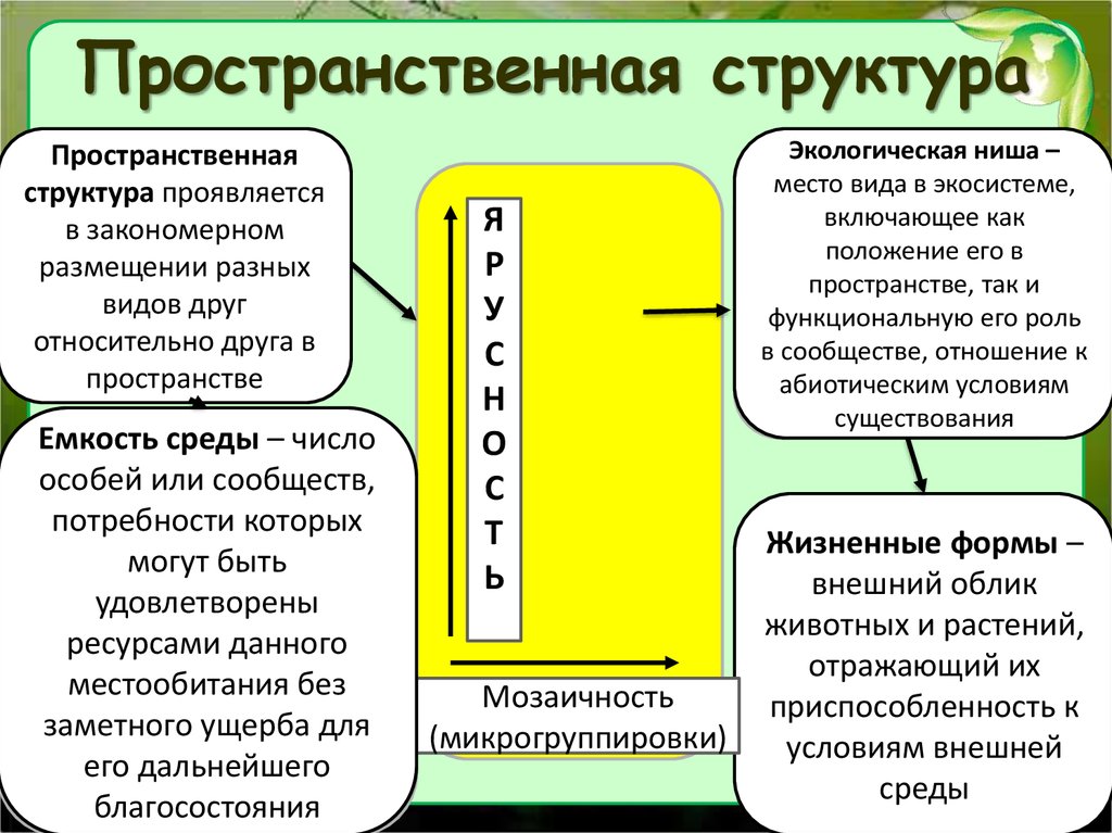 Пространственная структура