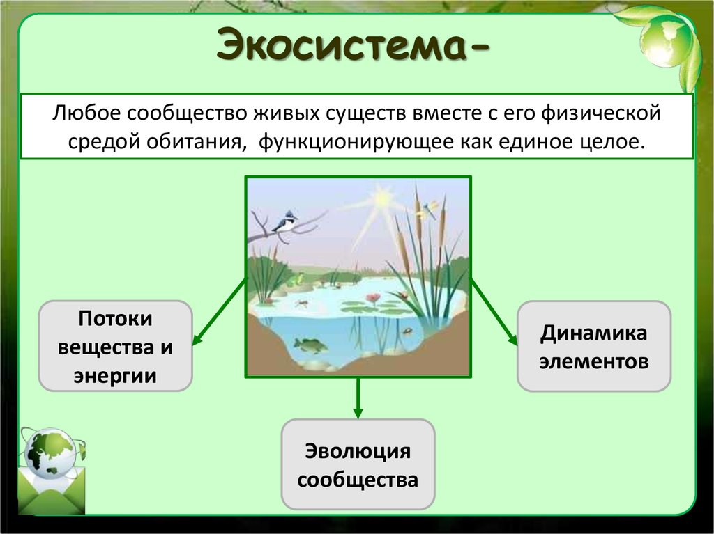 Экосистемы 11 класс биология конспект. Экосистема. Экологические сообщества. Экологическое сообщество это в биологии. Экосистема это в экологии.