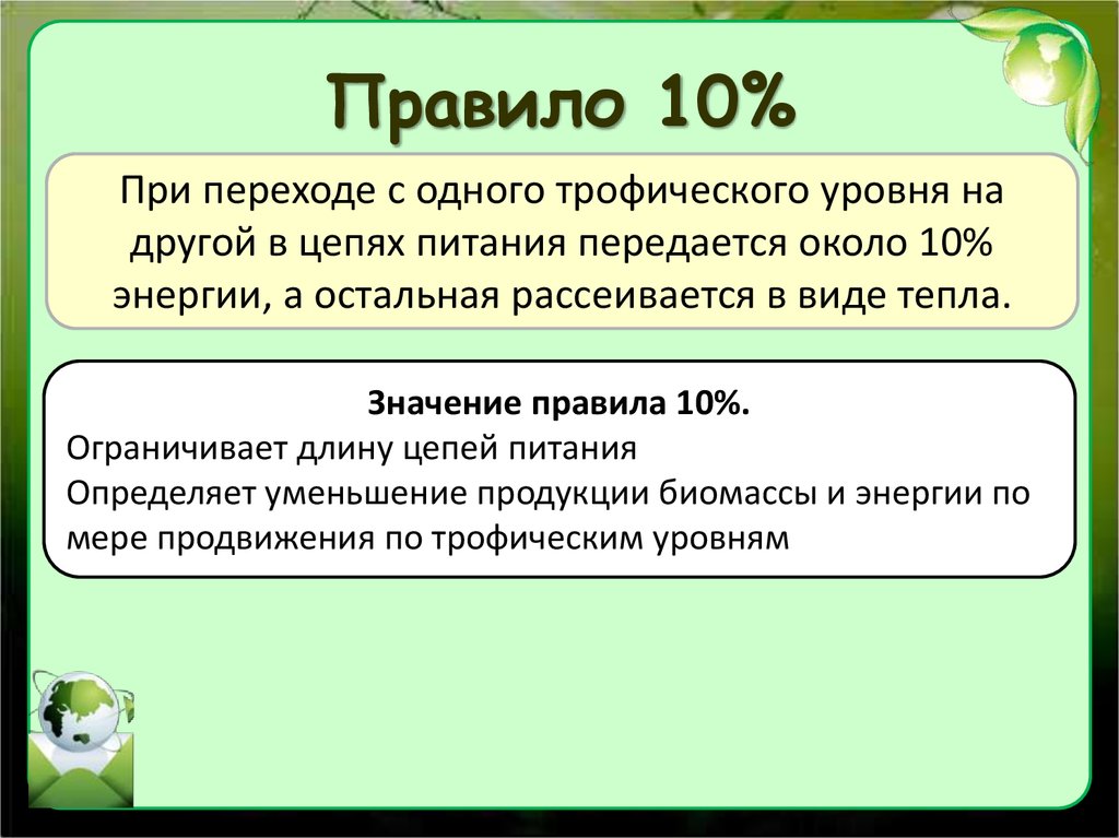 Сколько процентов энергии доходит до второго трофического уровня на приведенной схеме