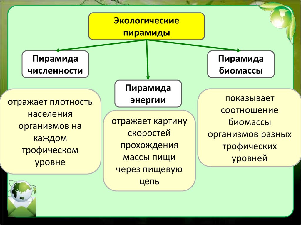 Экологическое сообщество презентация