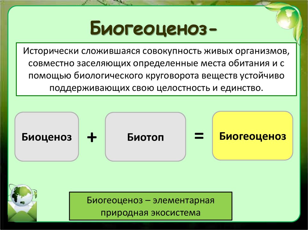 Экосистема биология презентация