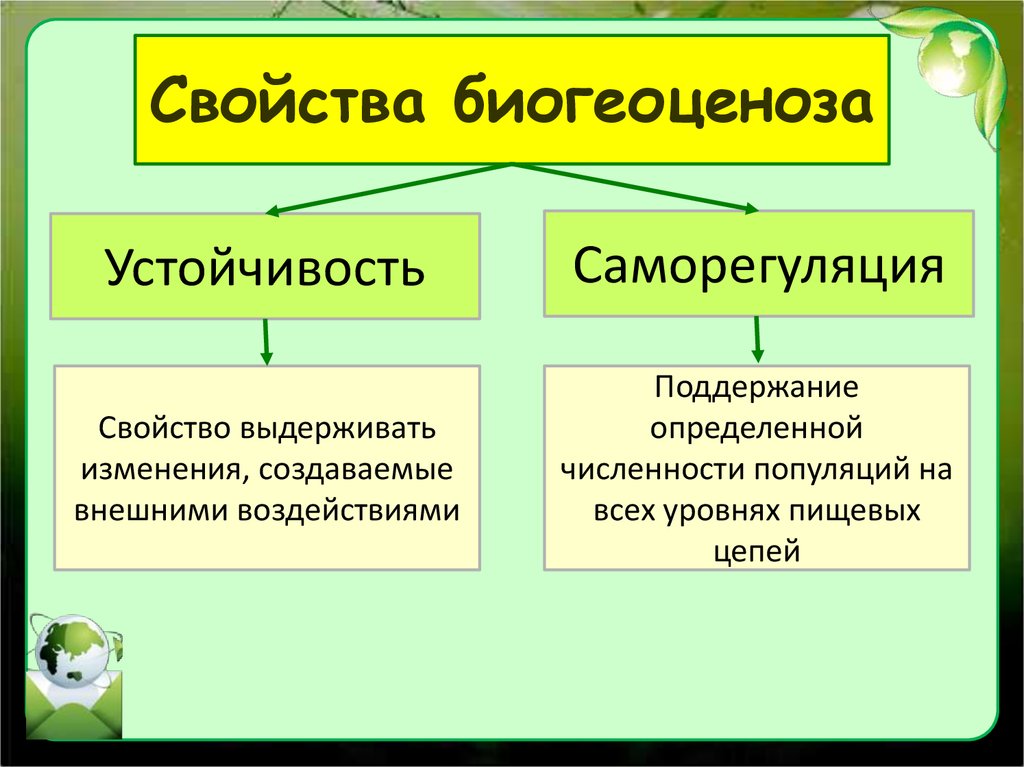 Презентация причины устойчивости и смены экосистем 9 класс биология