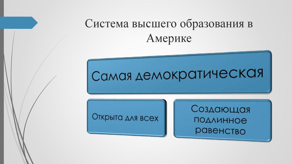 Система высшего образования