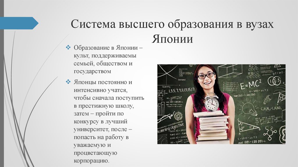 Система высшего образования. Система высшего образования в Японии. Структура образования в Японии. Структура высшего образования в Японии. Образование в Японии схема.