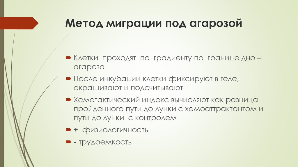 Метод миграции под агарозой