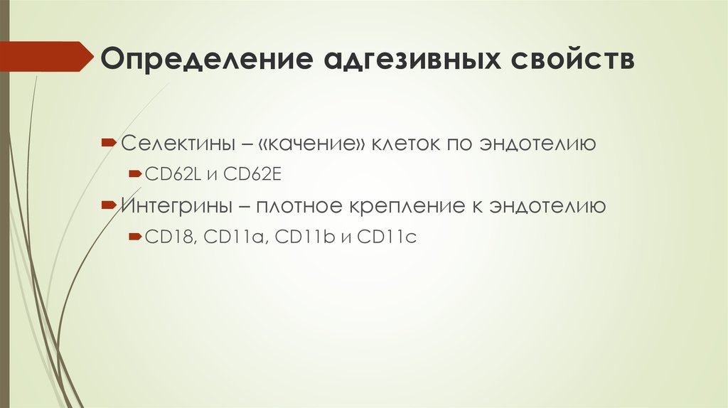 Определение адгезивных свойств