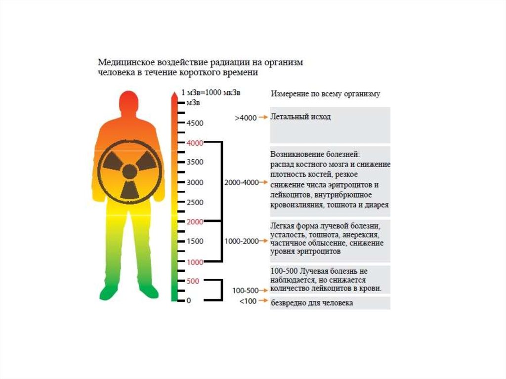 Опасный организм. Норма радиационного фона для человека. Медицинское воздействие радиации на организм человека. Норма радиационного облучения для человека. Допустимая доза облучения для человека в зивертах.
