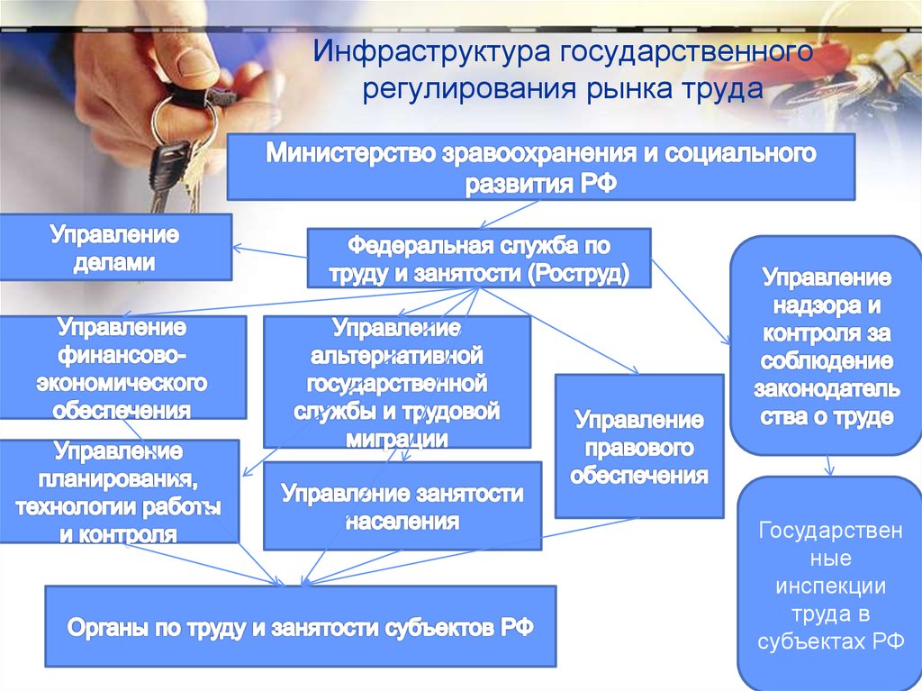 Регулирование отрасли. Государственное регулирование труда. Органы регулирования рынка труда. Государственное регулирование рынка труда. Регулирование рынка труда государством.