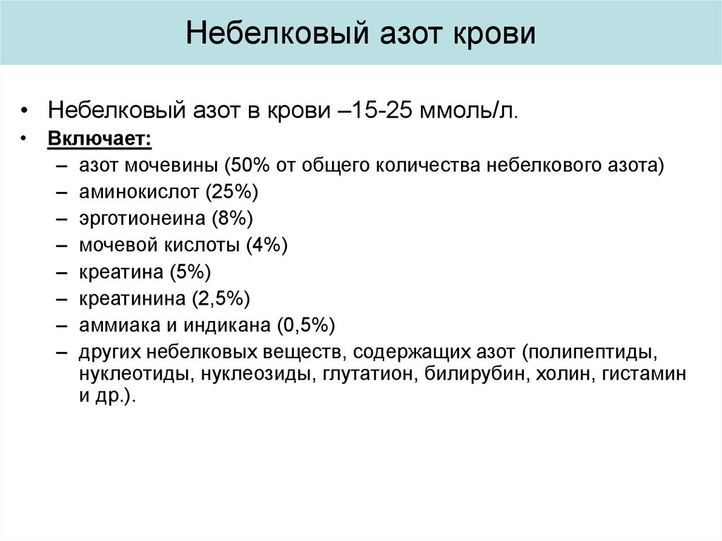 Азотистые вещества в супах