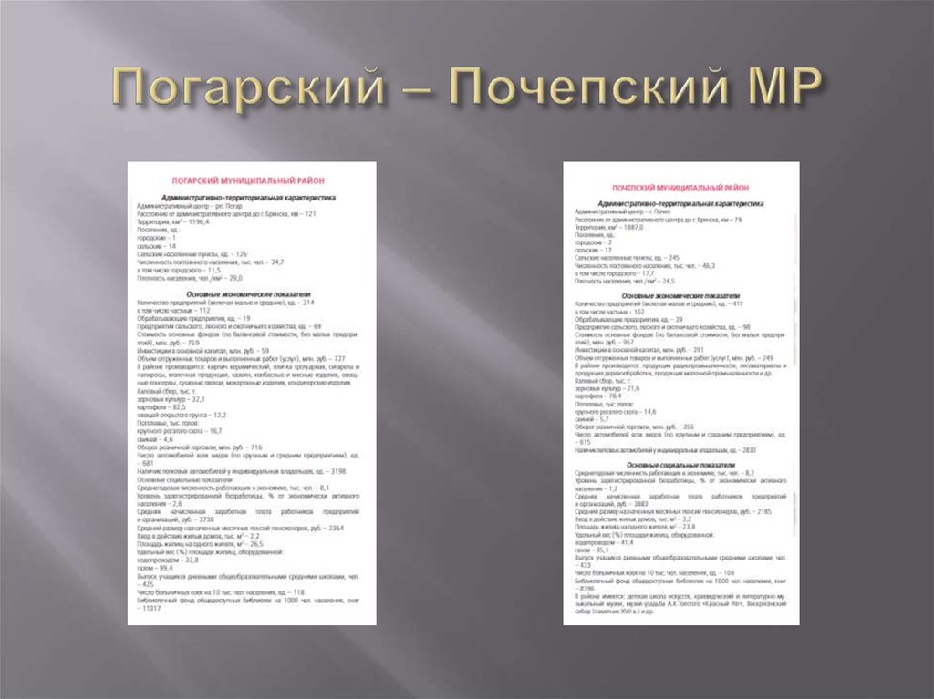 Погарский – Почепский МР