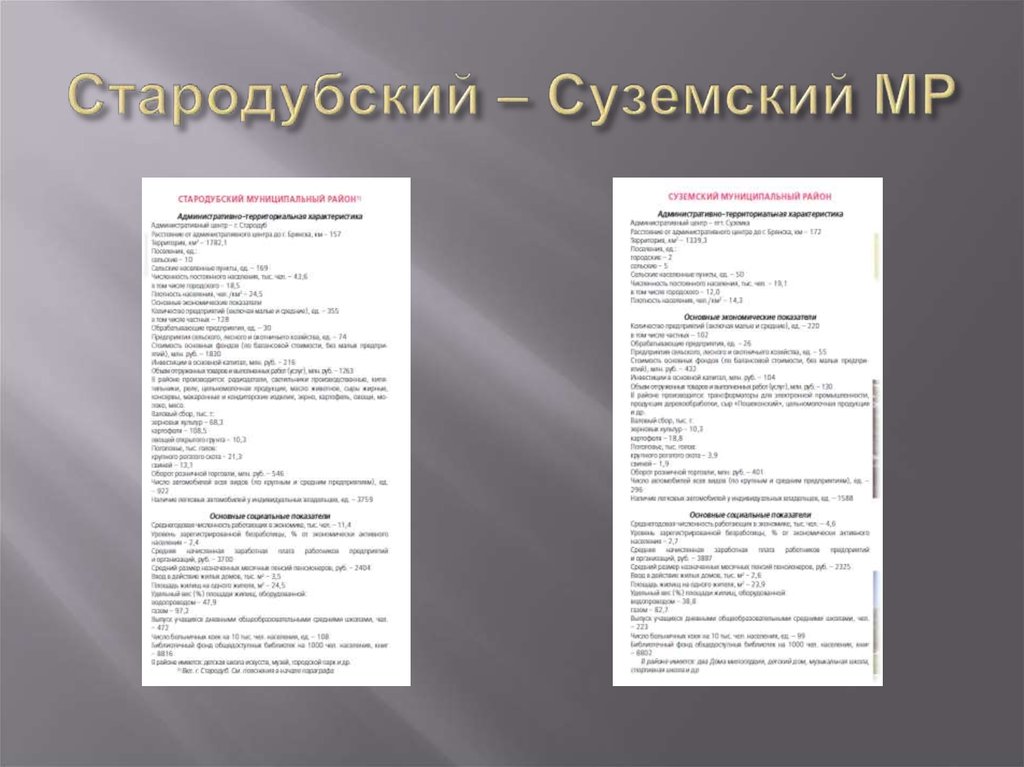 Стародубский – Суземский МР