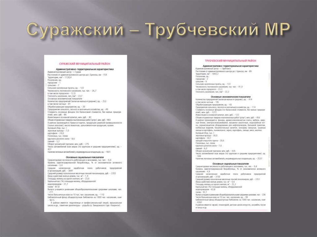 Суражский – Трубчевский МР