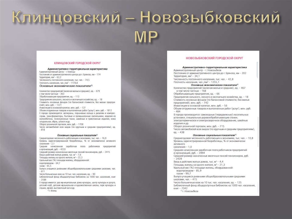 Клинцовский – Новозыбковский МР