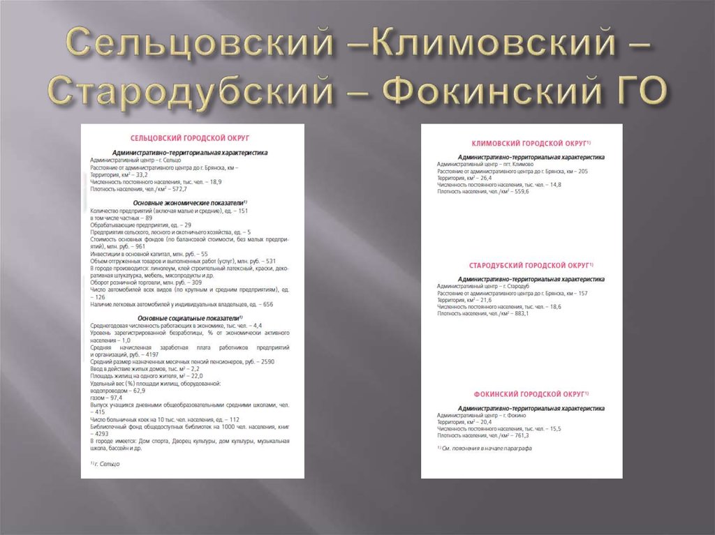 Сельцовский –Климовский – Стародубский – Фокинский ГО