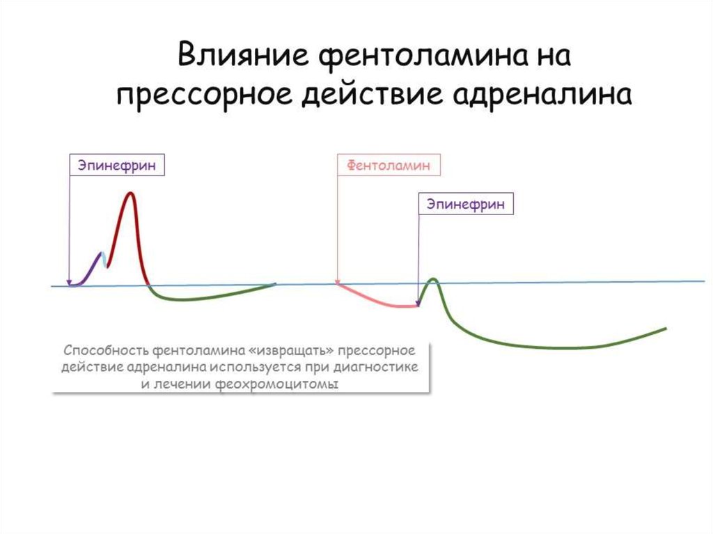 Влияние адреналина на спортсменов проект