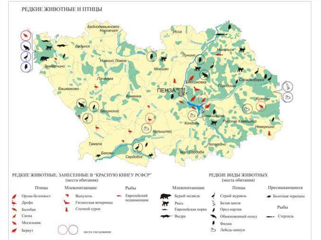 Карта полезных ископаемых пензенской области