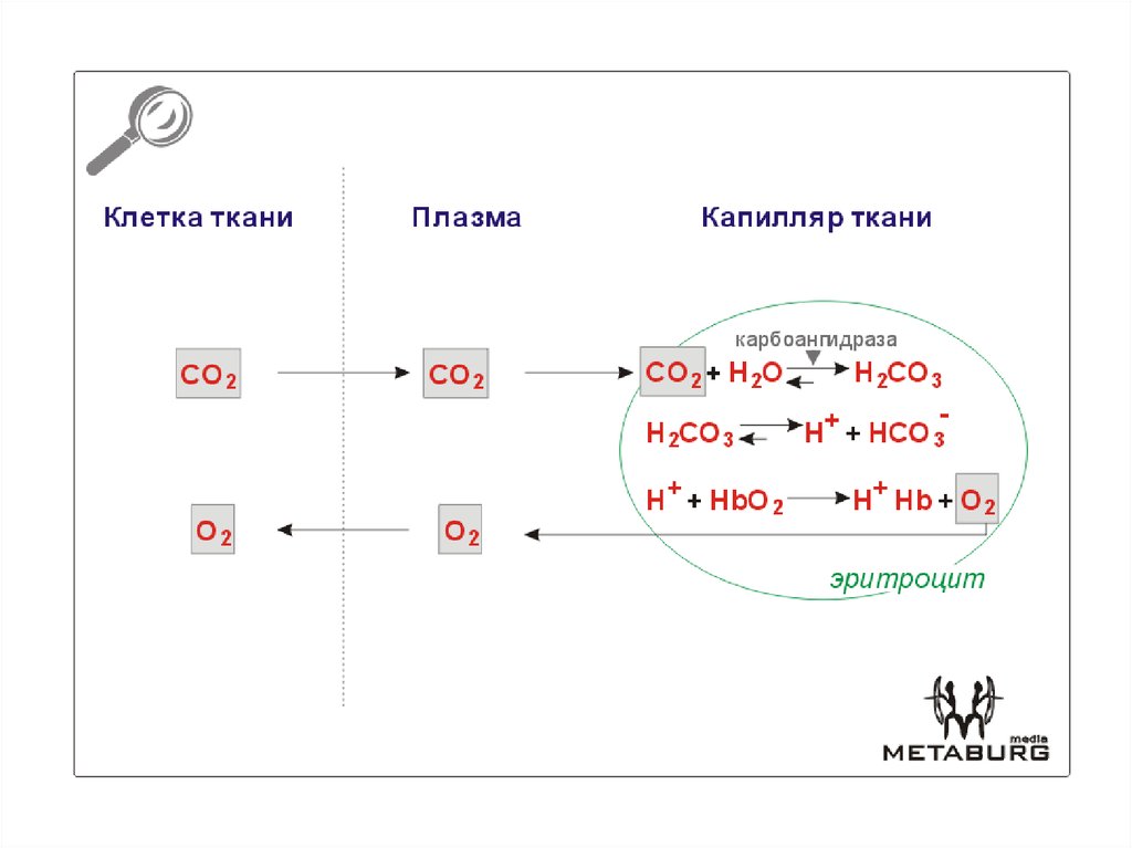 Схема окисления железа