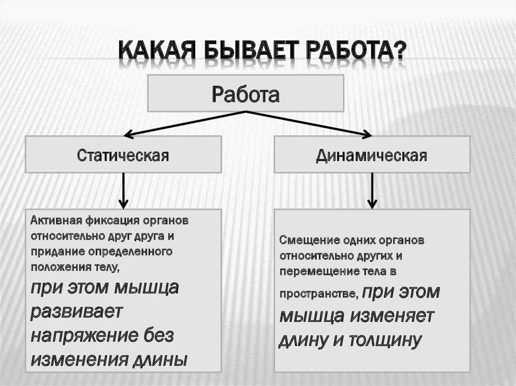 Какие работы имеются. Какие бывают работы. Какие виды работ существуют. Какие есть типы работы. Вид работы какие бывают.