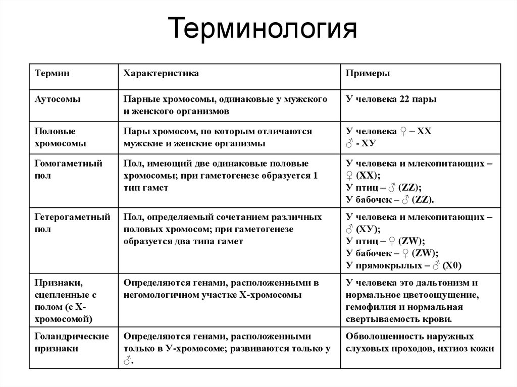 Хромосомное определение пола презентация 10 класс