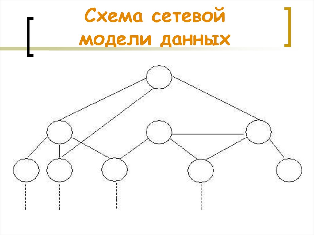 Презентация сетевая модель данных 11 класс